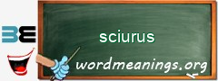 WordMeaning blackboard for sciurus